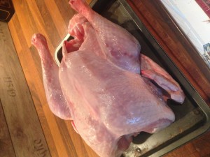 naked turkey